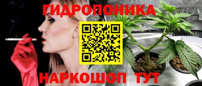 экстази Можга