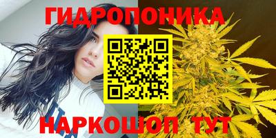экстази Можга